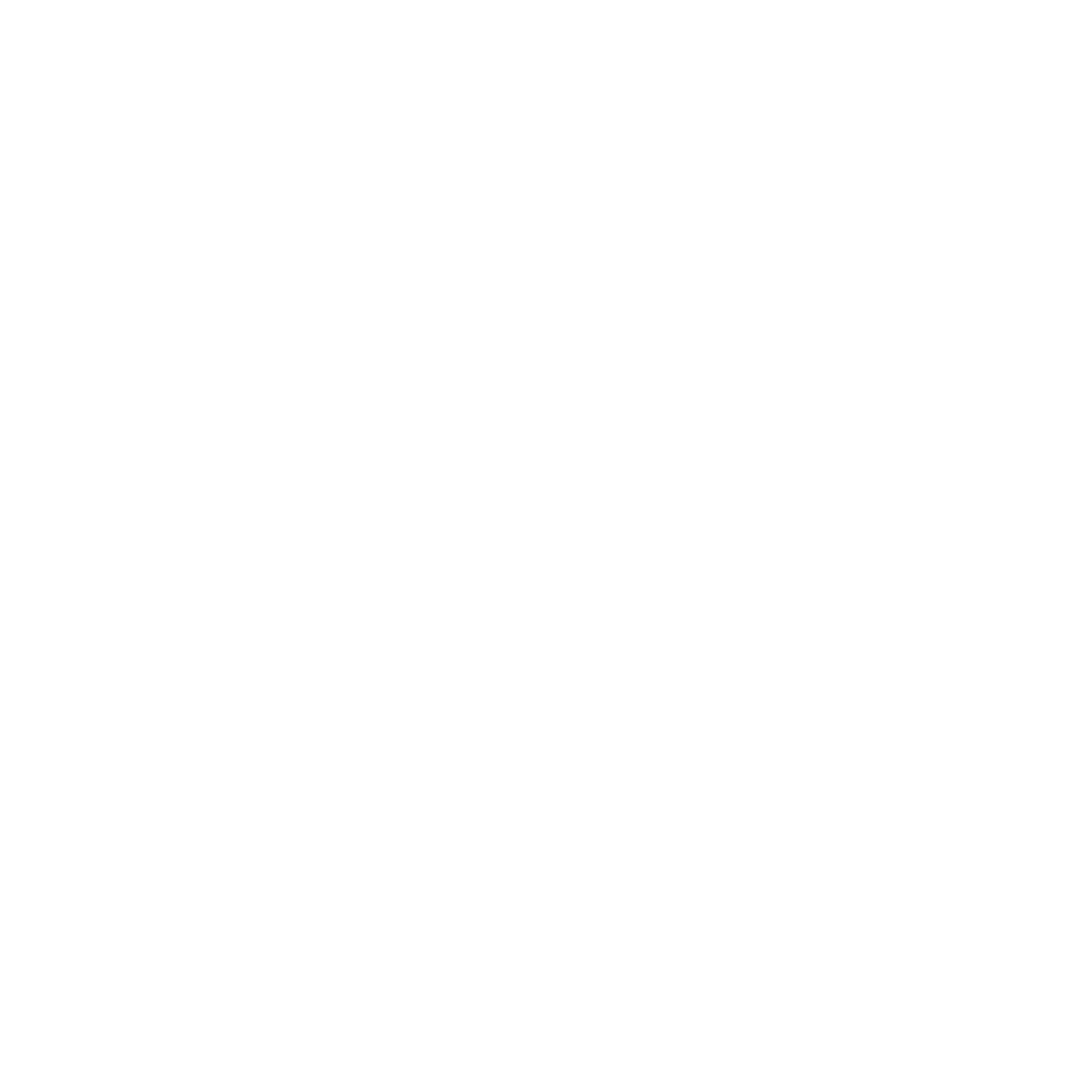Flying Shark